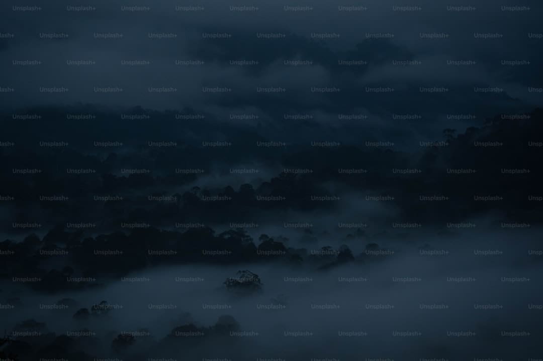 从小众创作走向社会共鸣!三七互娱携特殊艺术家启动游戏二创